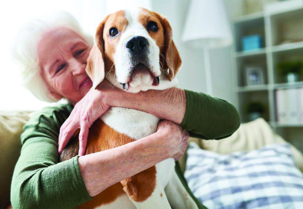 ANIMAUX : CARTES POUR DÉSIGNER DES PERSONNES DE CONFIANCE