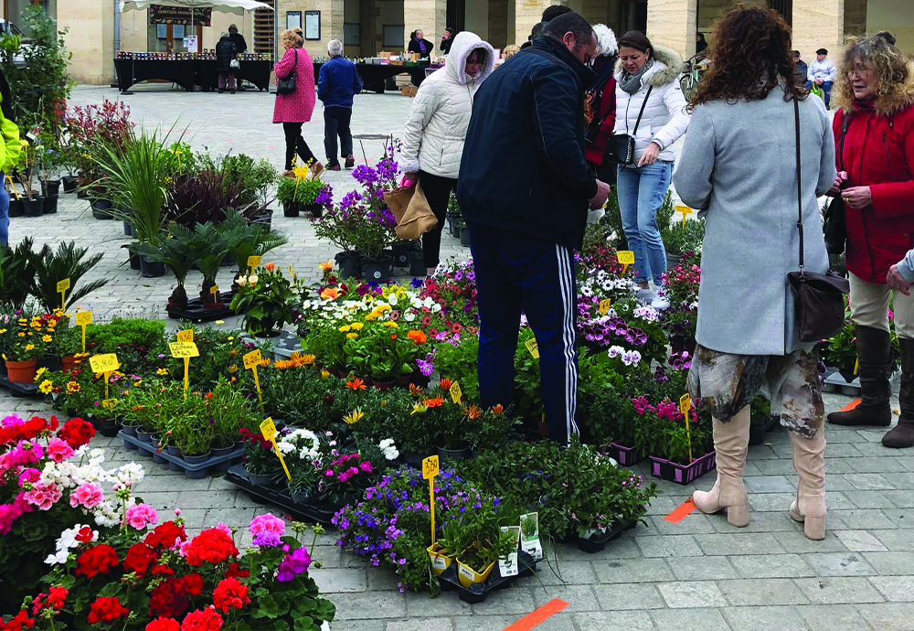 RETOUR SUR LE SUCCÈS TRÈS VENTÉ DES FLORALIES 2025