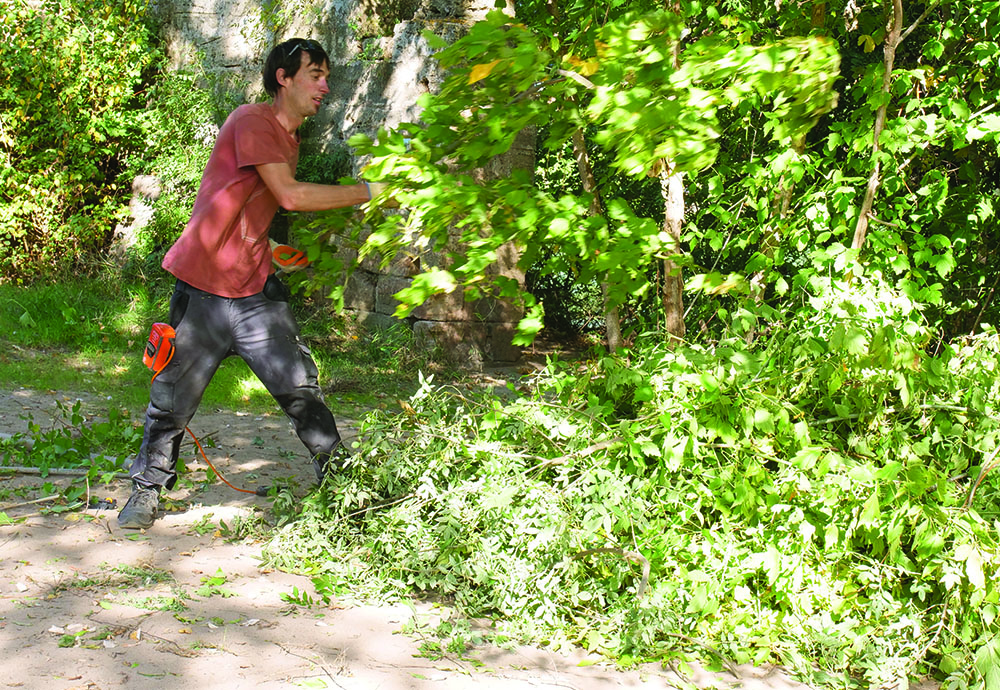 TRAVAUX DE SAUVEGARDE AU MOULIN BLADIER : TOP DÉPART !