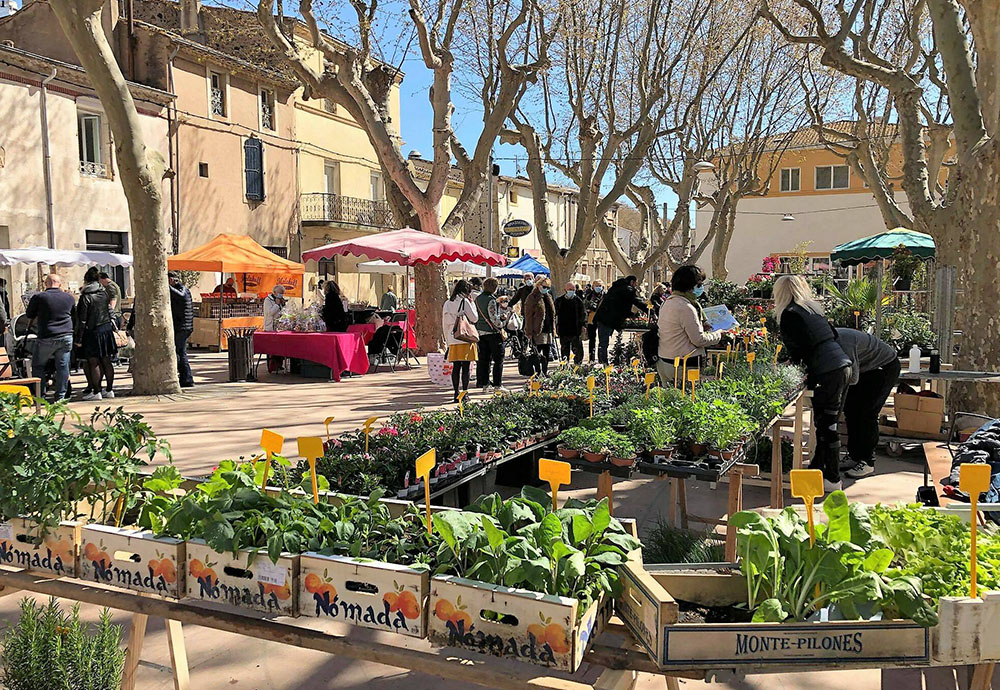 LES FLORALIES « TUQUE EN FLEURS » SE PRÉPARENT