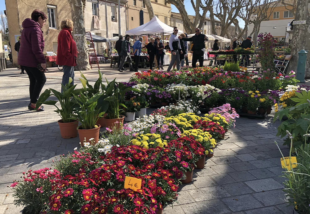 LES FLORALIES EN BEAUTÉ AVEC DES ABEILLES EN STARS
