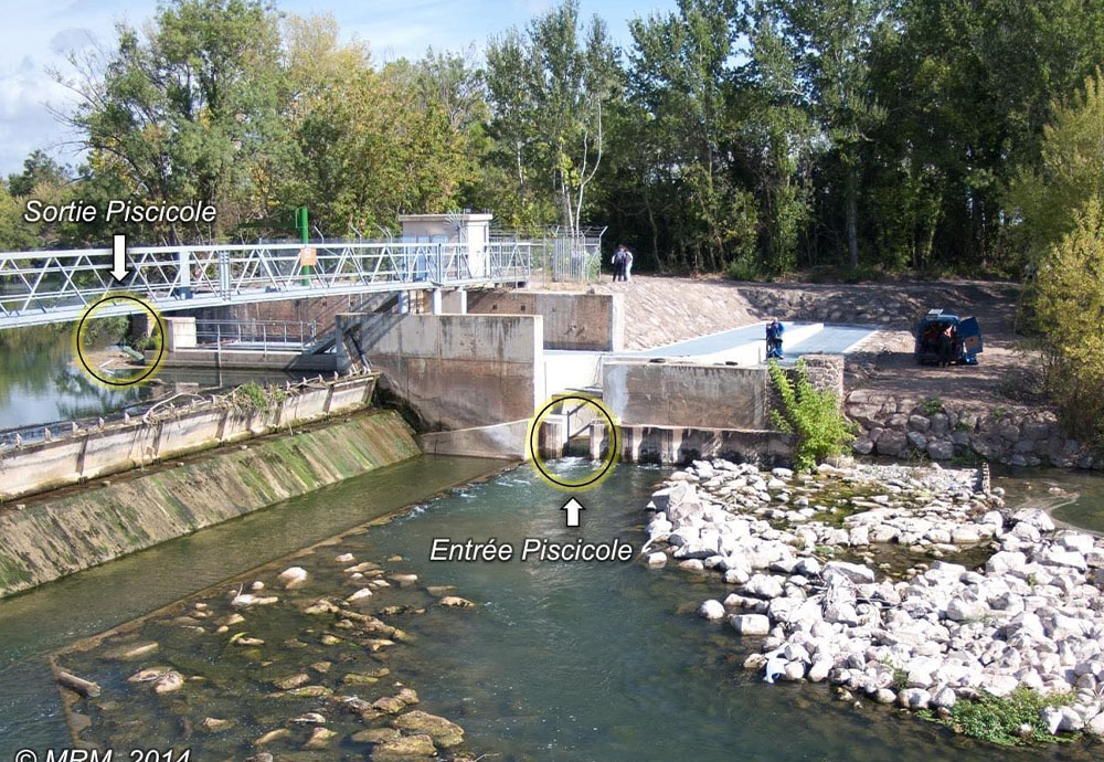UNE PASSE À POISSONS UNIQUE EN OCCITANIE AU MOULIN BLADIER
